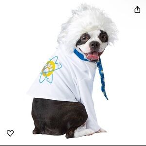 Pup-a-razzi COSTUME COLLECTIONS Pet AL-BARK EINSTEIN Dog Costumes White/Blue XS
